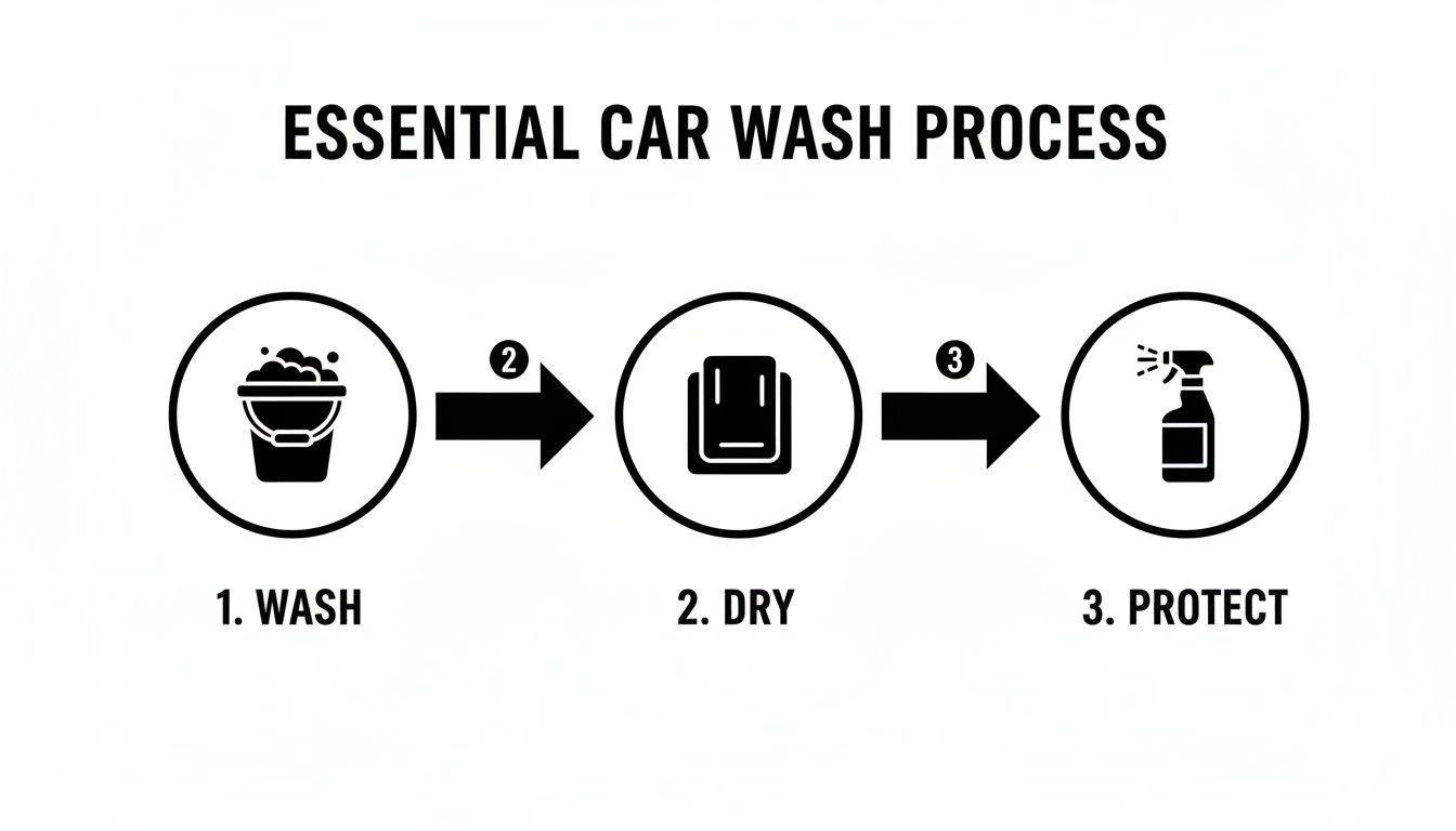 A step-by-step infographic illustrating the essential car wash process: wash, dry, and protect.