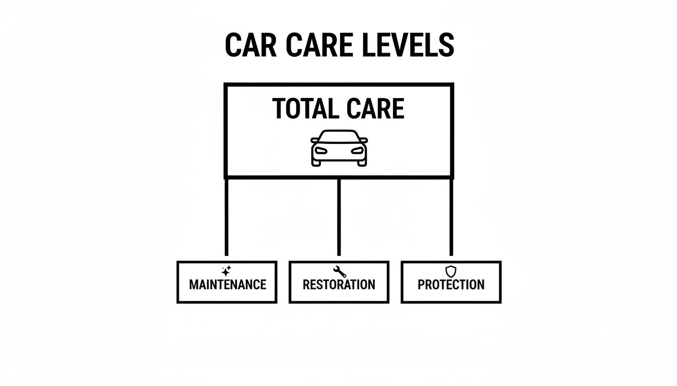 Diagram illustrating car care levels with Total Care at the top, branching to Maintenance, Restoration, and Protection.