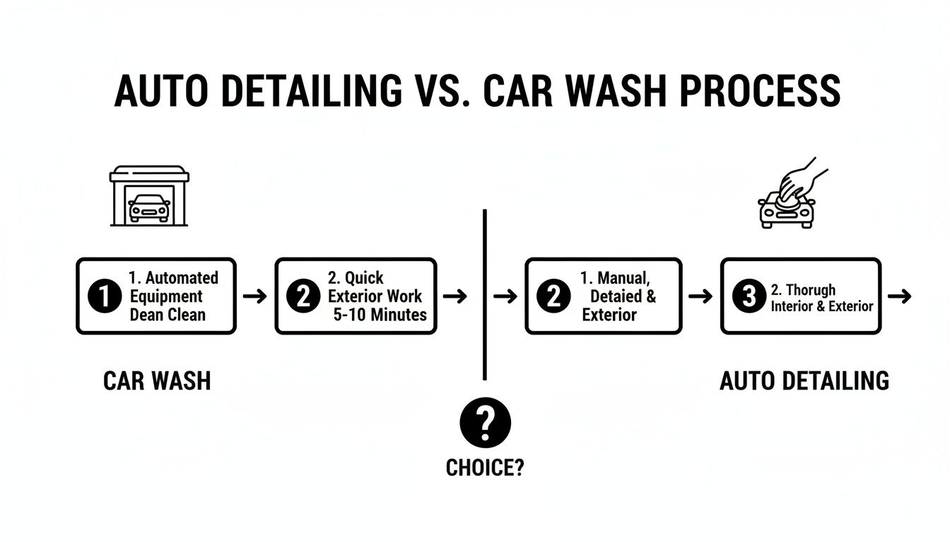 Infographic comparing car wash and auto detailing processes, highlighting their distinct steps and thoroughness.