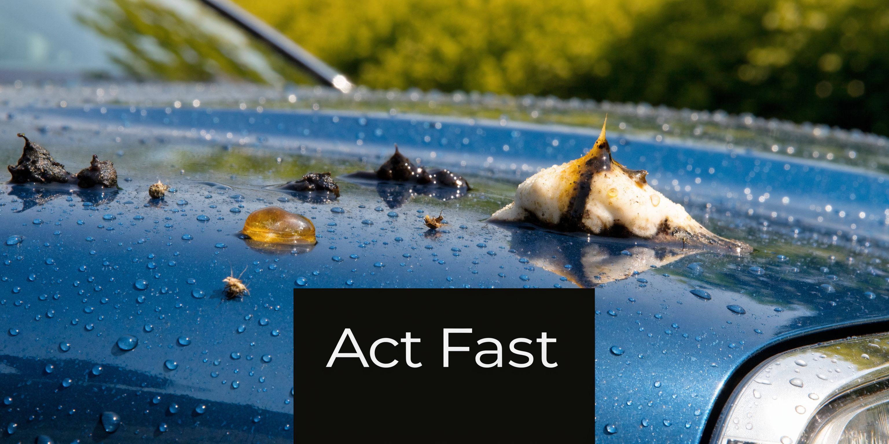 A close-up of a blue car hood covered in bird droppings and sap, emphasizing the need for cleaning.