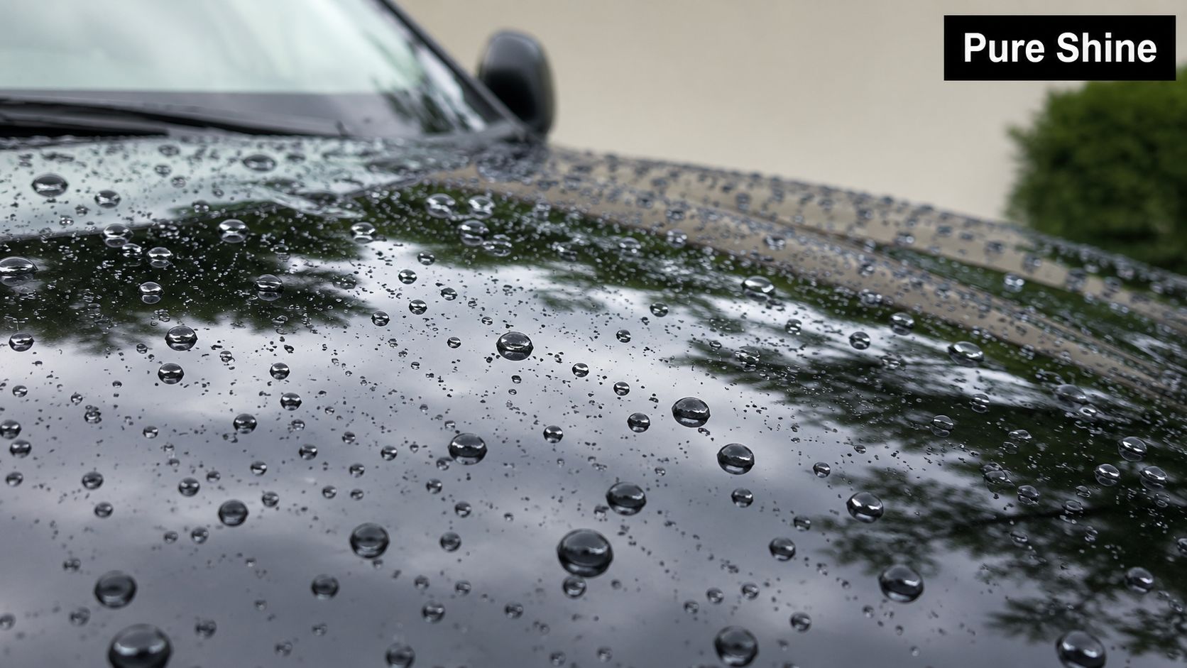 Close-up view of a car hood with water beads showing effective ceramic coating paint protection.