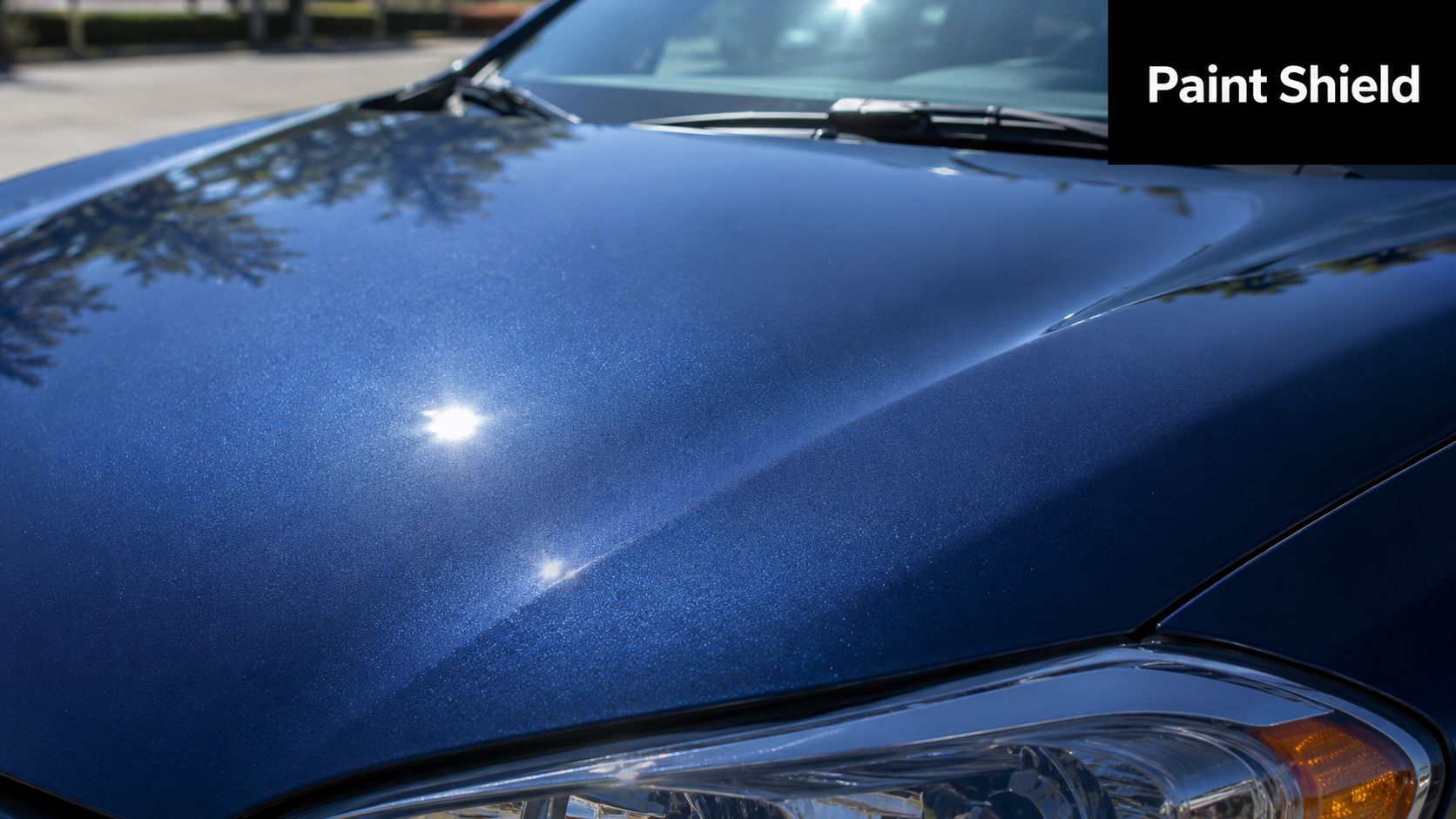 A close-up view of a shiny blue car hood protected by a high-quality ceramic paint shield coating.